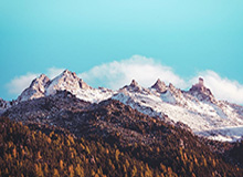 大发官方：从信任到共创的数字生活新入口